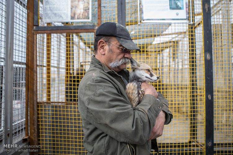 عکس های خانه پیرمرد مکانی برای زندگی حیوانات
