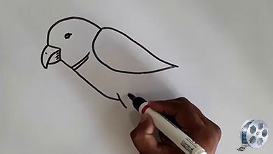 نقاشی پرنده با ماژیک سیاه