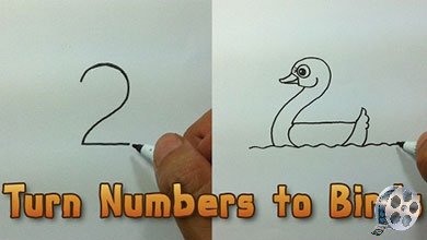 نقاشی پرنده های مختلف به کمک اعداد