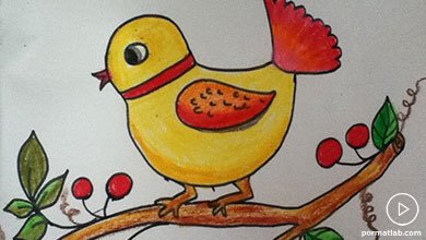 نقاشی پرنده کوچولو زیبا برای کودکان