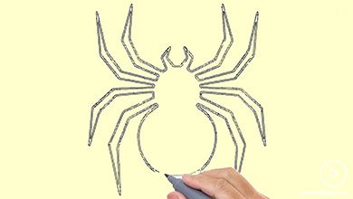 آموزش مرحله به مرحله کشیدن عنکبوت