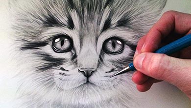 آموزش نقاشی بچه گربه با اتد