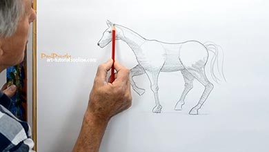 آموزش نقاشی بدن اسب