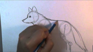 آموزش نقاشی بدن گرگ با مداد سیاه