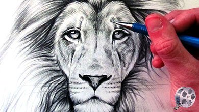 آموزش نقاشی شیر سلطان جنگل