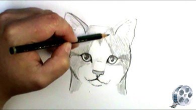 نقاشی و طراحی صورت گربه