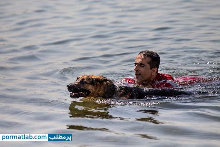 مانور‌ سگ های‌ جستجو و نجات‌ در دریاچه- پرمطلب