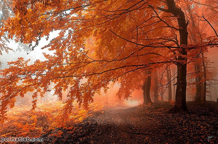عکس های زیبا و رویایی از فصل پاییز