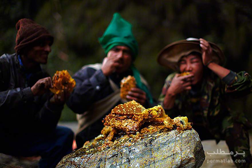 بدست آوردن عسل از دل صخره‌های نپال