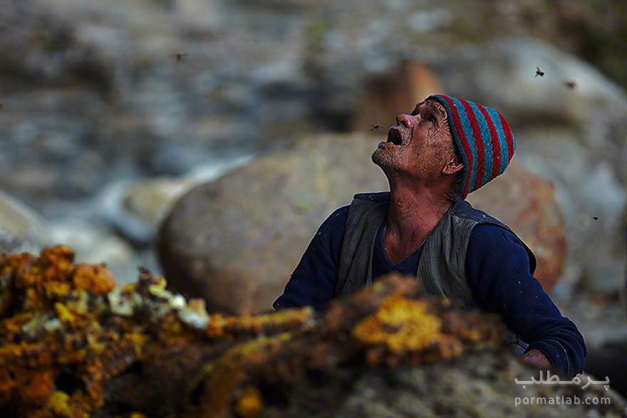 بدست آوردن عسل از دل صخره‌های نپال