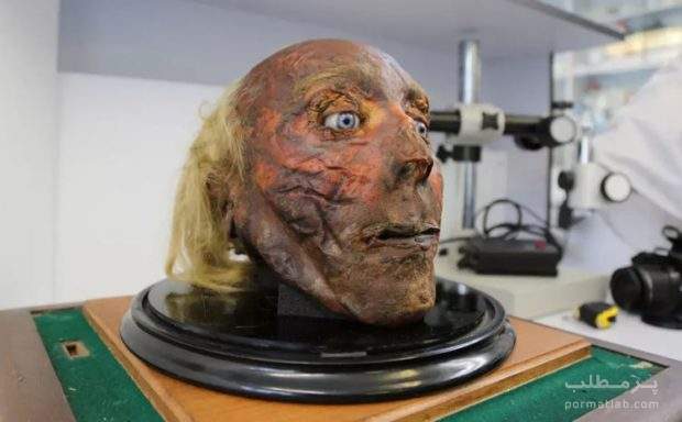 موزه اعضاء بدن انسان های معروف