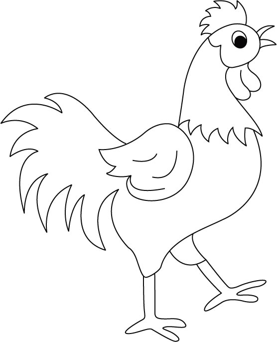 نقاشی های کودکانه مرغ و خروس برای رنگ آمیزی