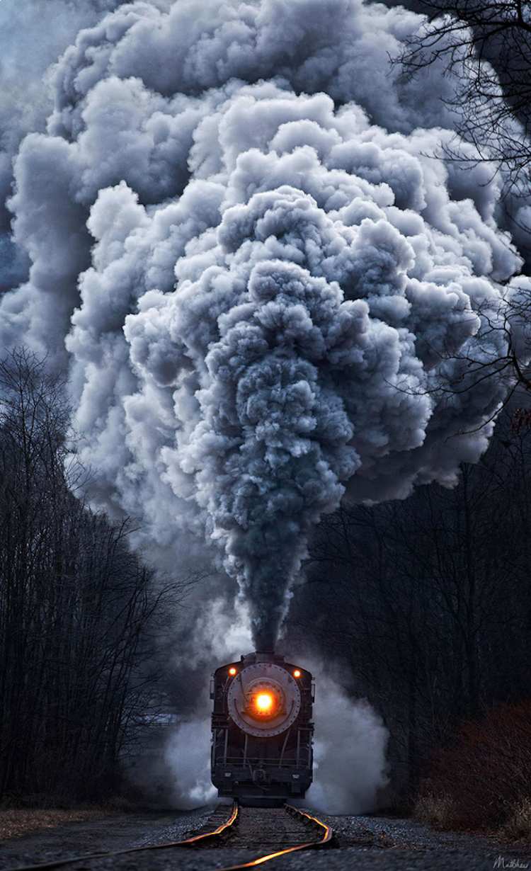 حرکت قطار ها در میان طبیعت